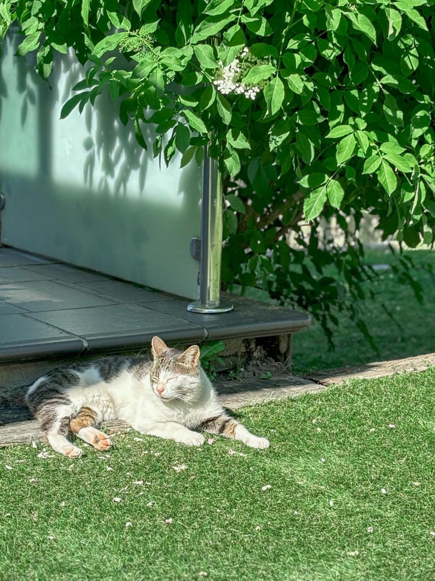 Villa Suances Tagle 外观 照片